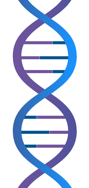 Normal DNA