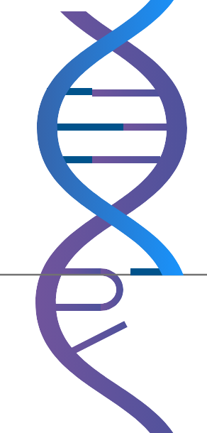 DNA under UV-C
